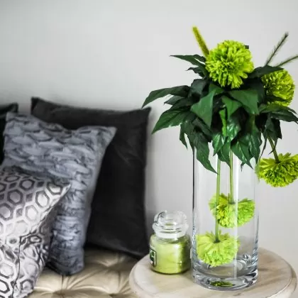 المعيشة المنزلية